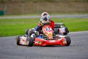 DSC_ (866)